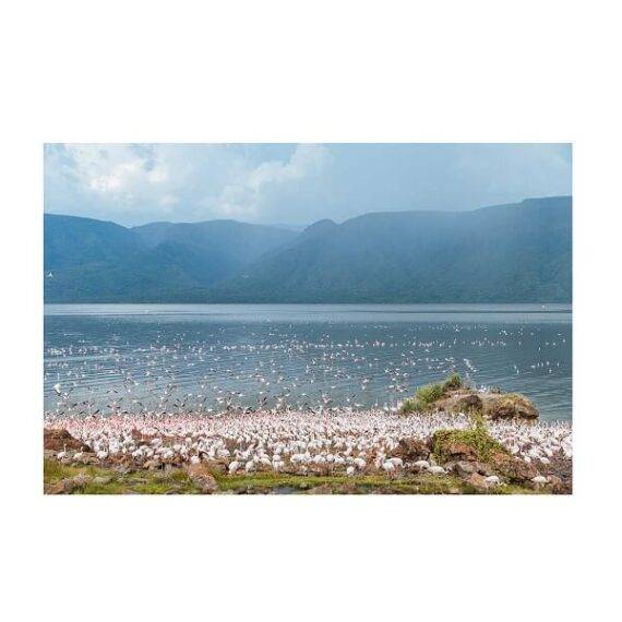 Lake Bogoria By Peter Irungu