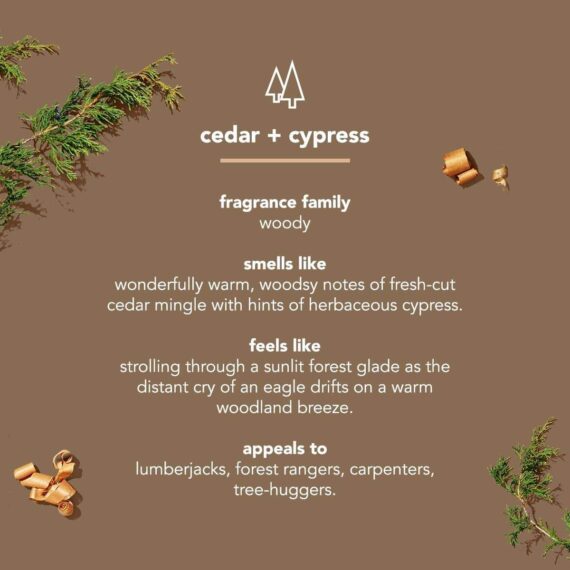 Method Men Cedar + Cypress Body Wash, 18oz